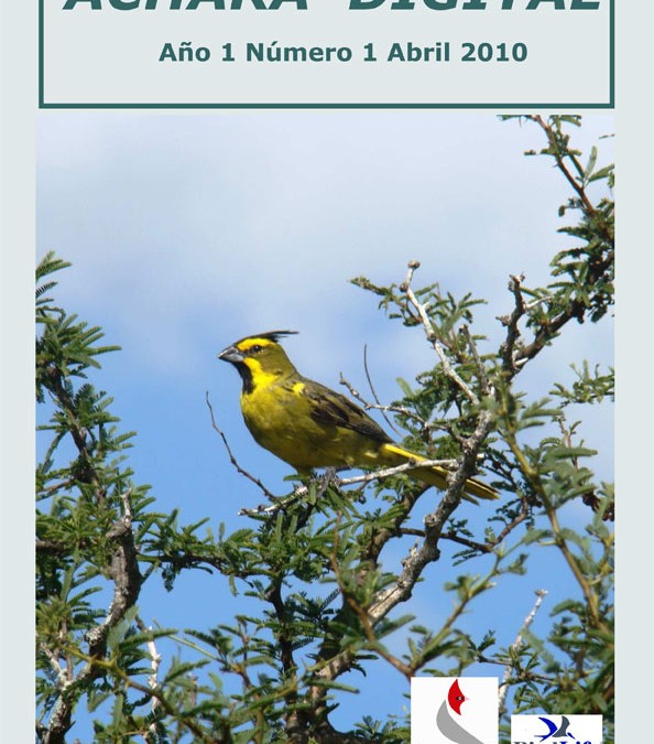 Revista Achará Nº 1 – Abril 2010