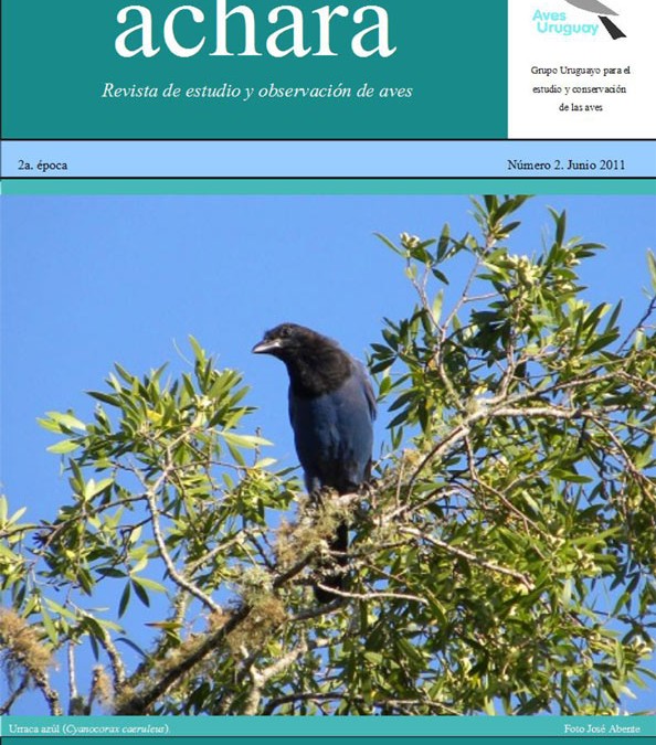 Revista Achará Nº 2 – Junio 2011