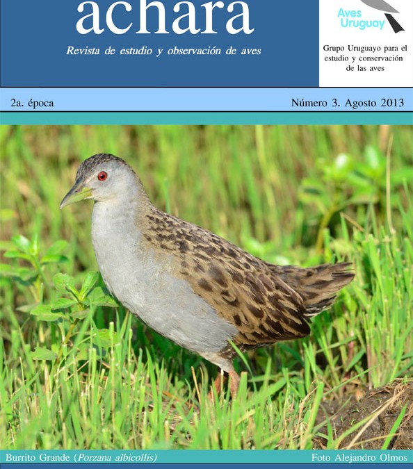 Revista Achará Nº 3 – Agosto 2013
